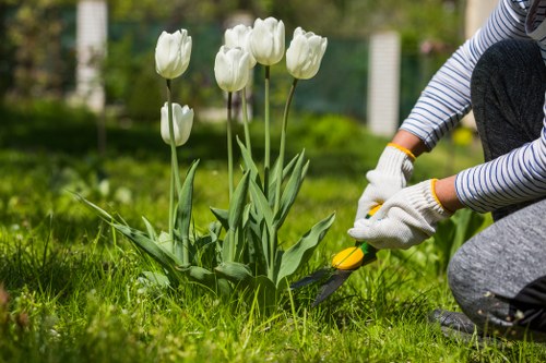 Modern slavery statement for Gardeners Hoxton in a gardening business context