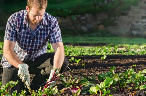 Professional gardening services in Hoxton for tidy urban gardens