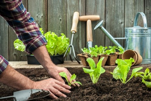 Load-based and cubic-yard garden quote options in Hoxton