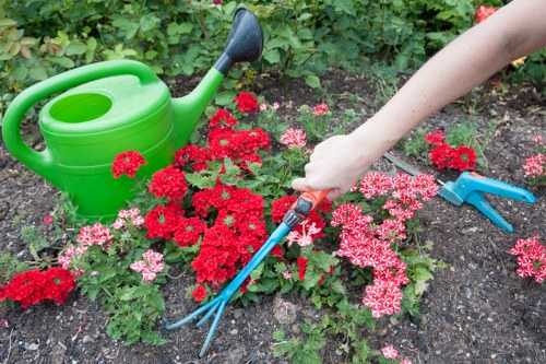 Patio cleaning work restoring a Hoxton outdoor space