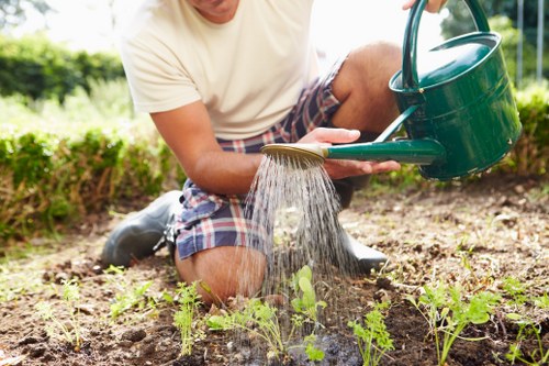 Gardeners Hoxton maintaining a safe and organised work environment