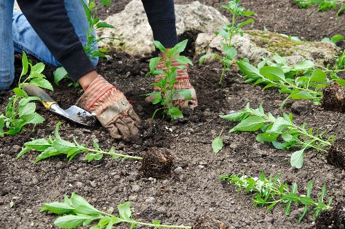 User control options for Gardeners Hoxton cookies