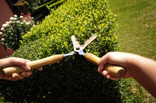 Gardeners Hoxton shaping attractive urban garden environments