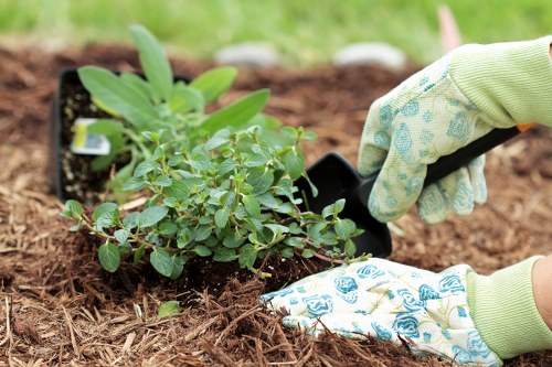 Free quote policy for Hoxton gardening services