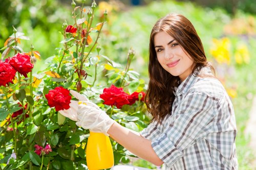 Careful hedge maintenance in Hoxton during summer growth
