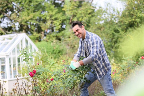 Tree felling and stump grinding service in Hoxton
