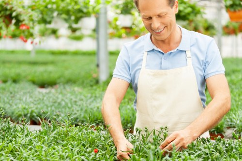 Seasonal lawn care for a small Hoxton garden