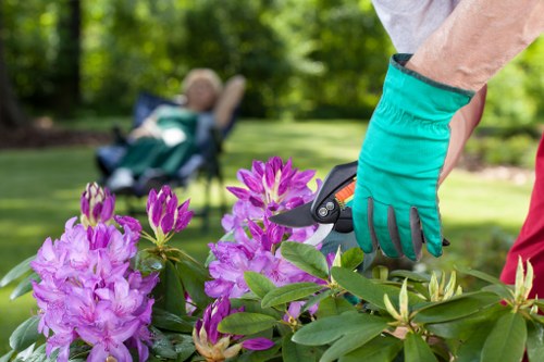 Professional gardeners in Hoxton maintaining a balanced garden