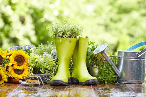 Well-maintained urban hedge in Hoxton