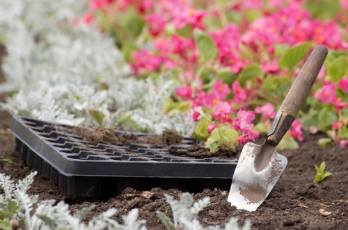 Image representing ongoing improvements for accessible Hoxton garden services
