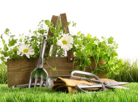 Marketing cookie preferences for Gardeners Hoxton visitors