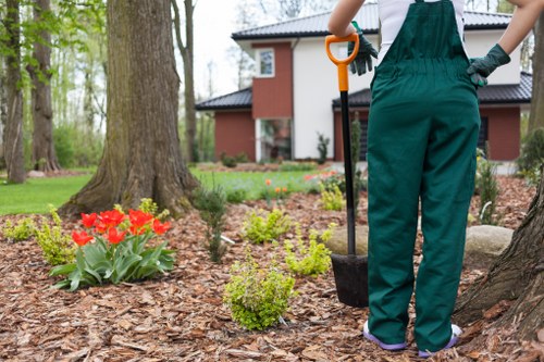 Lawn and border maintenance in Hoxton garden