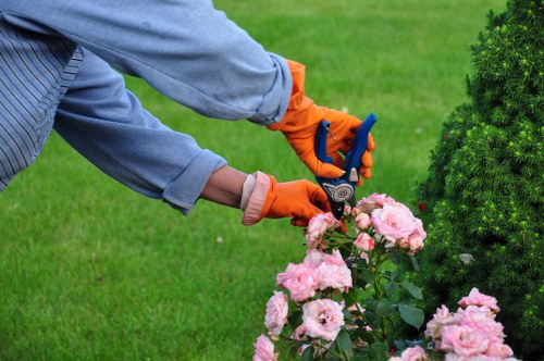 Trimmer refining a hedge edge in Hoxton