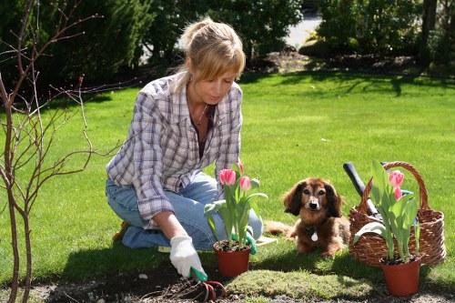 Professional garden maintenance in Hoxton
