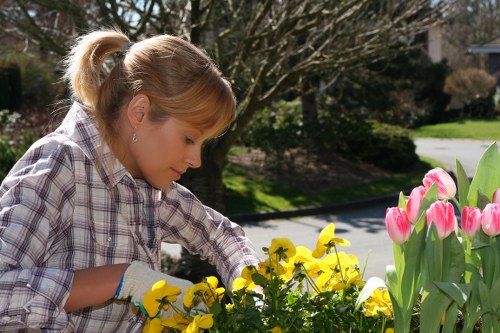 Recycling and sustainability work supporting Hoxton gardens