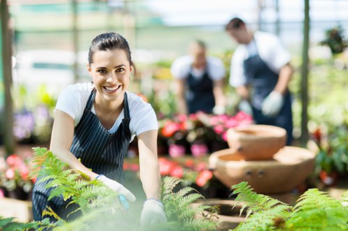 Urban garden maintenance in Hoxton with tidy borders and healthy plants